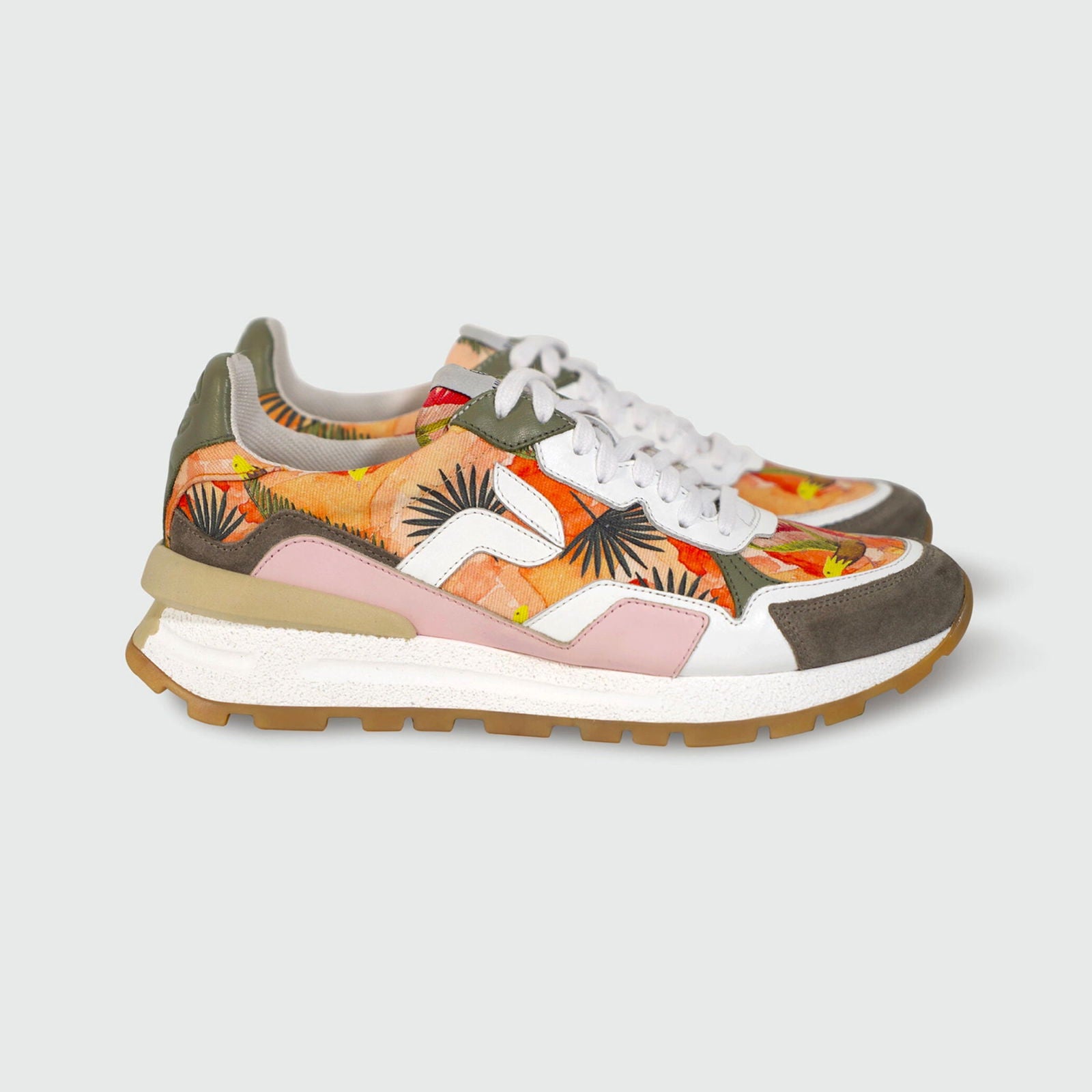 Akanda-Oiseau Panafrica