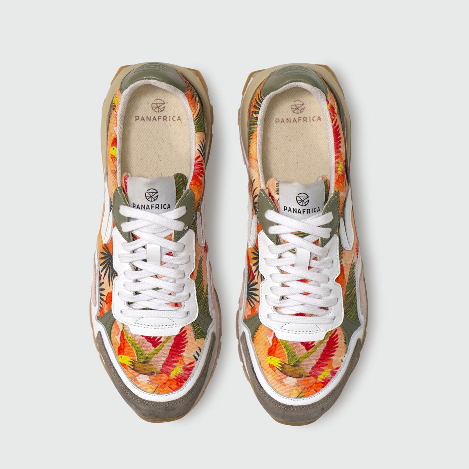 Akanda-Oiseau Panafrica