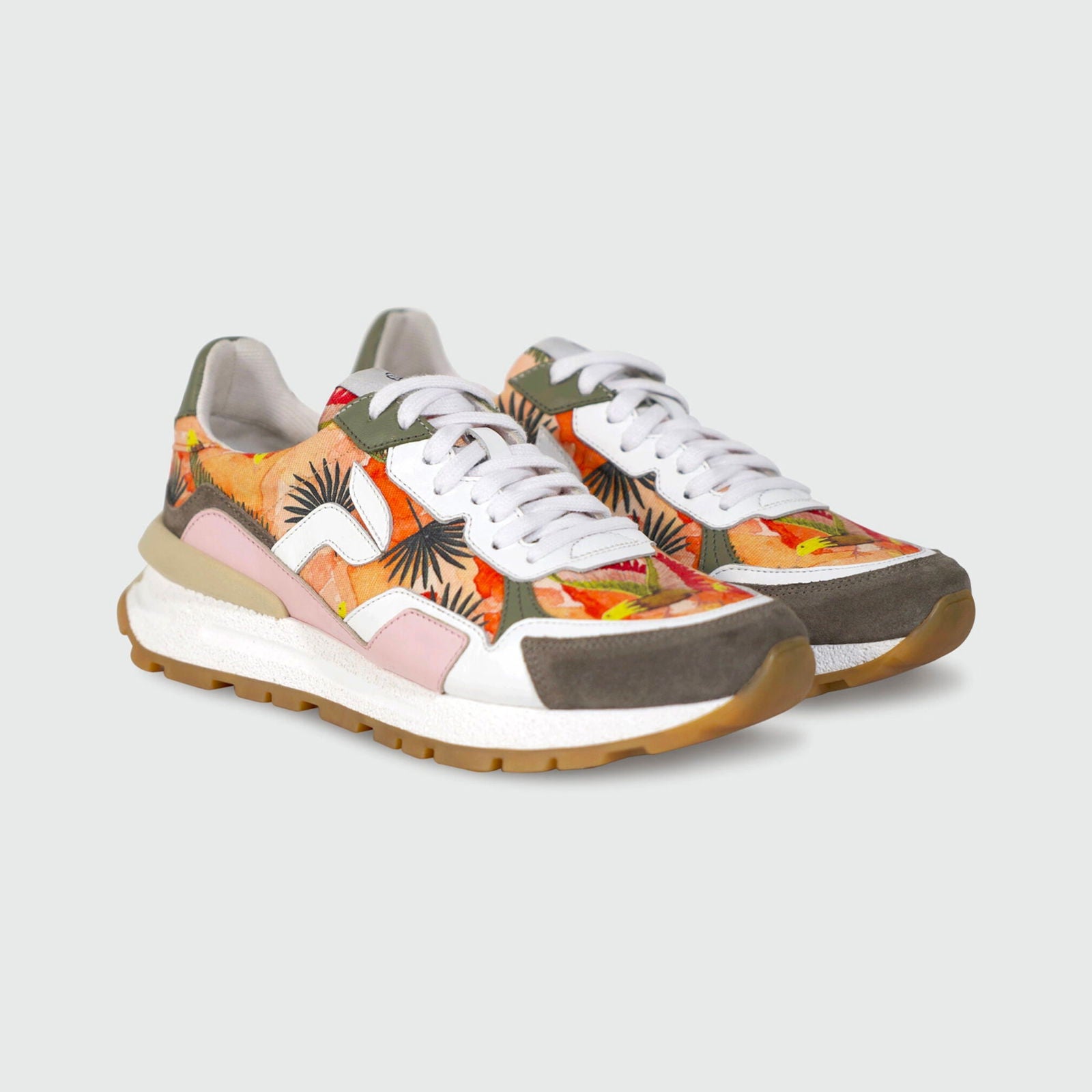 Akanda-Oiseau Panafrica